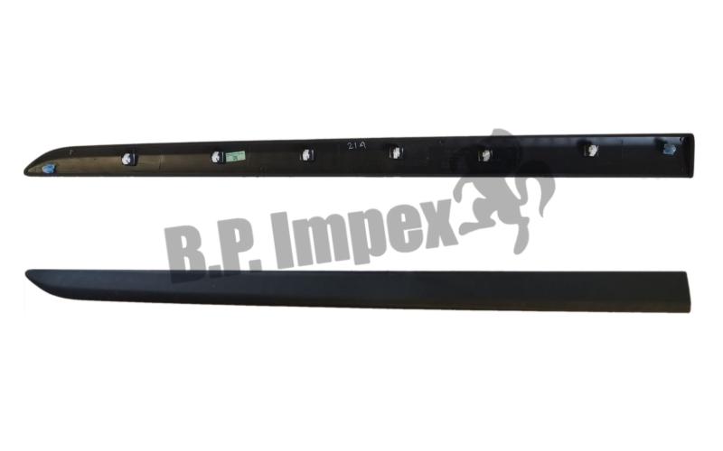 MOULDING ASSY-FRT DR W/LINE,RH