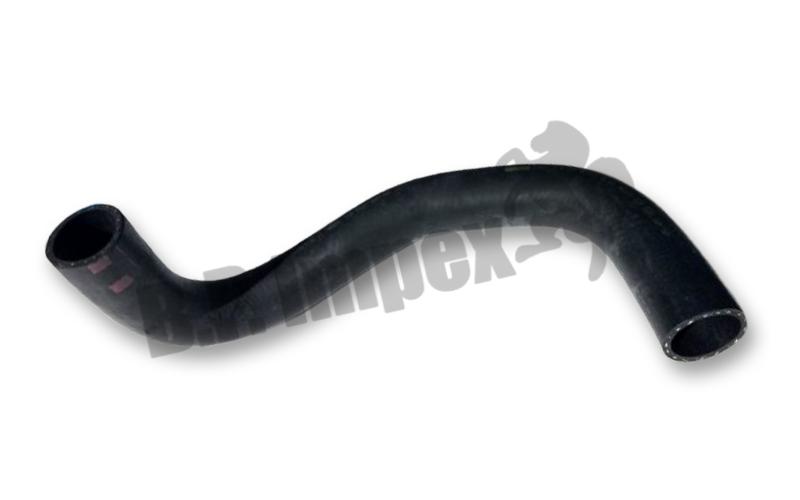 HOSE RADIATOR LOWER