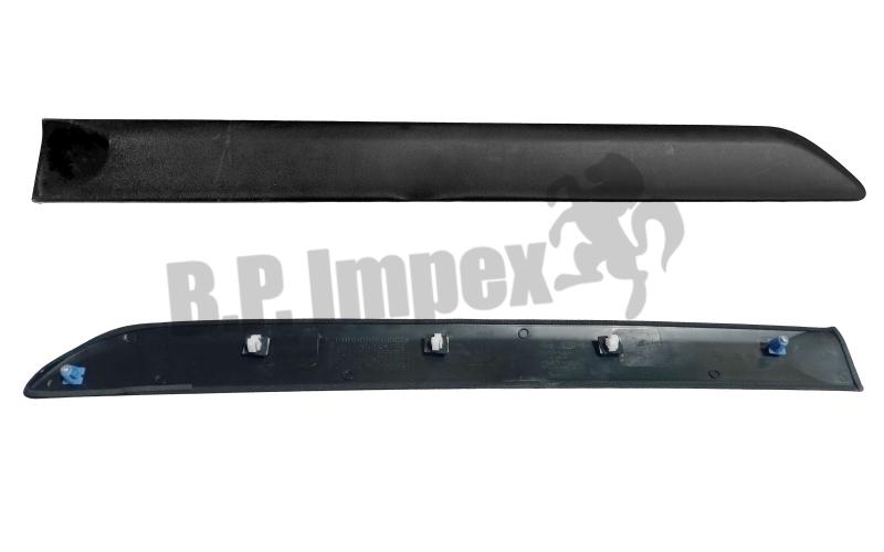 MOULDING ASSY-RR DR W/LINE,LH