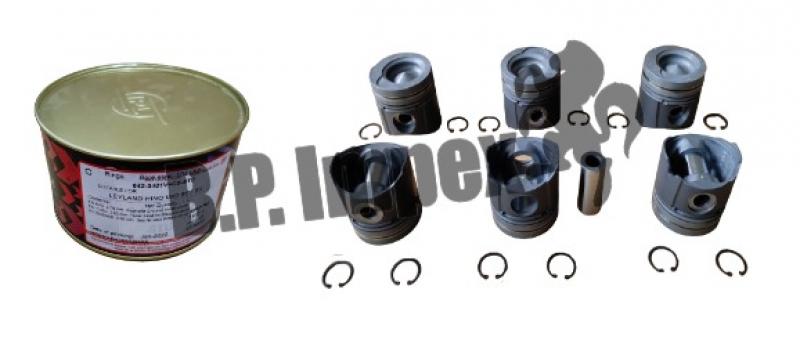 Piston Assy with rings