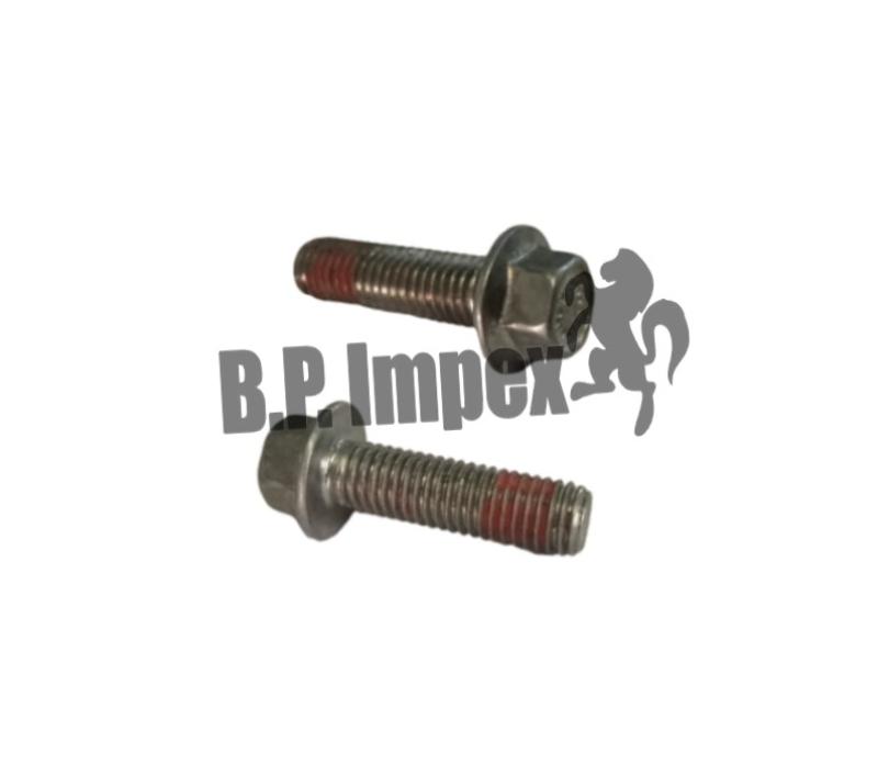 Standard Flanged Screw Hex M10 X