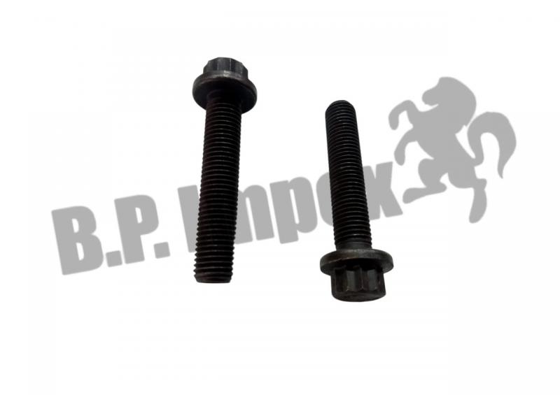 BIHEX HEAD FLANGE SCREW M12X1