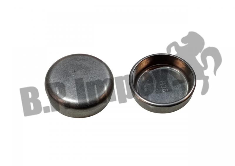 PLUG EXPANSION-DIA 36