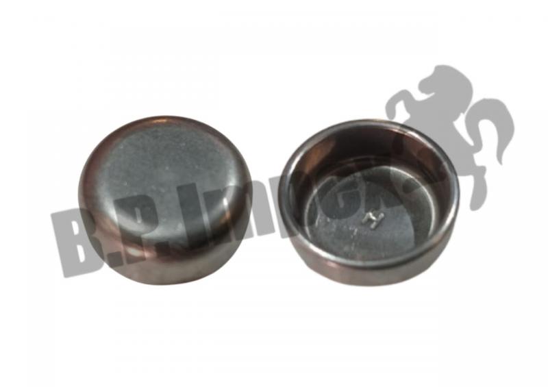 EXPANSION PLUG-DIA 2.2CM-CYL.HEAD-H4/H6