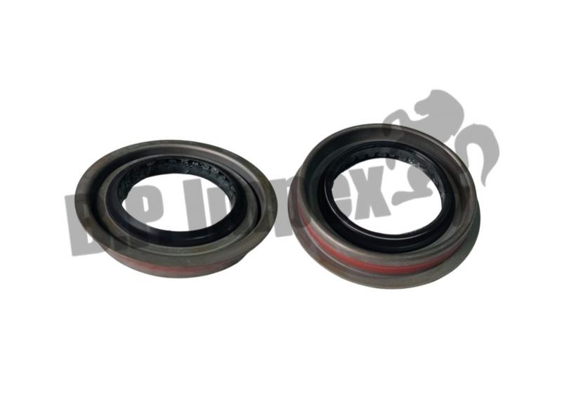 Oil Seal
