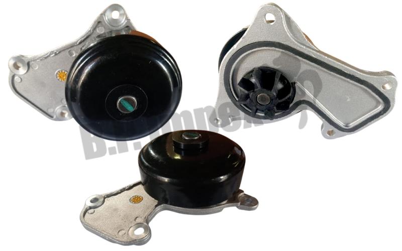 PUMP COMPL WATE,210101851R