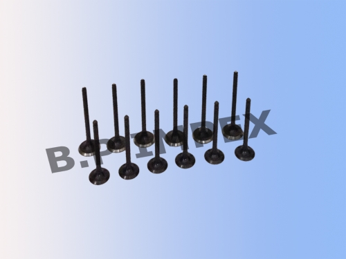 Valve Intake, Exhaust,12911M84420, 12915M84420,12915M84410  , 12911M84410 ,12915M84400, 12911M84400