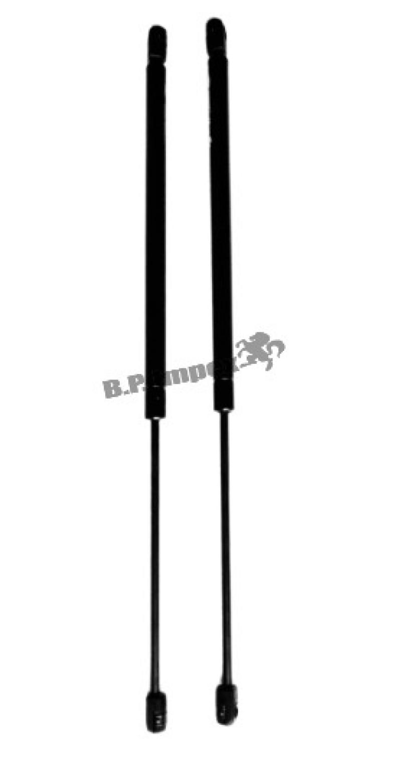 BALANCERBACK DOOR LH & RH