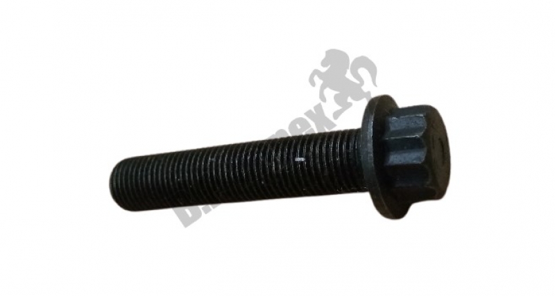 CONNECTING ROD SCREW.
