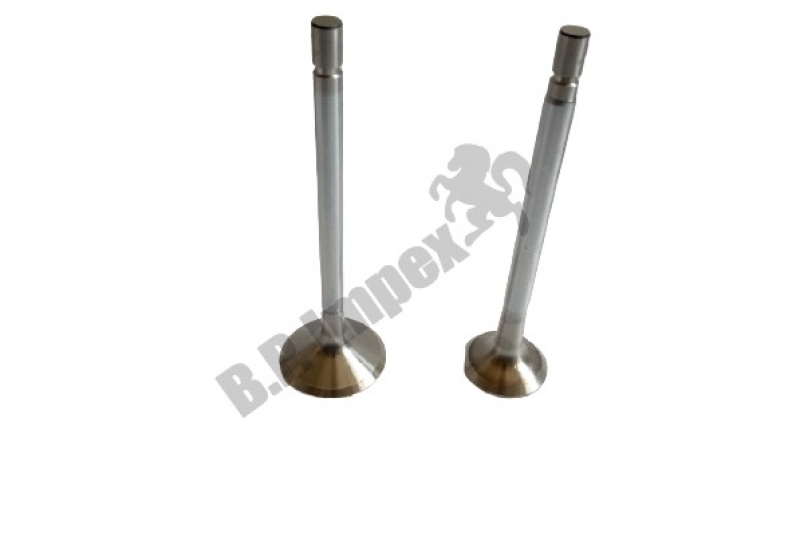 SET INLET & EXHAUST VALVE,885405072525 252505129012 252505990103
