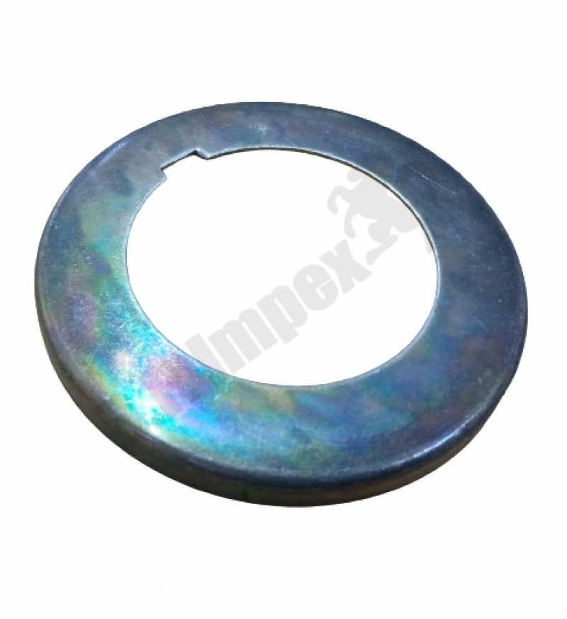 Crank Shaft Oil Slinger,252503138201 