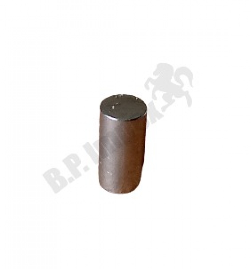 CYLINDRICAL ROLLER,250526203001