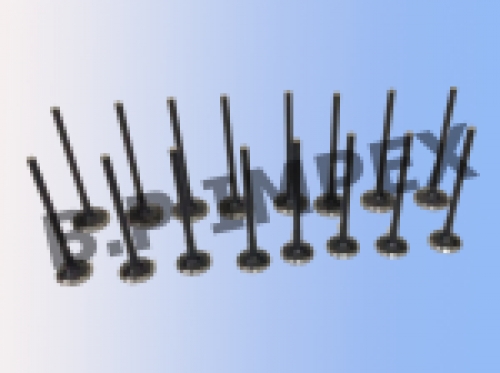 Exhaust Valve, Intake Valve,278905129002, 278905129001 278905129003 278905129004