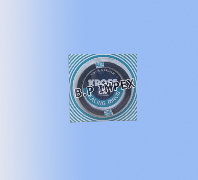 Sealing Ring Half,252303107802