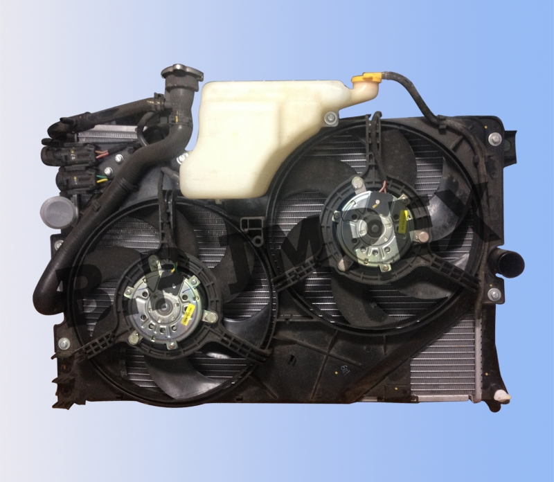 Radiator Assy.,278950100119