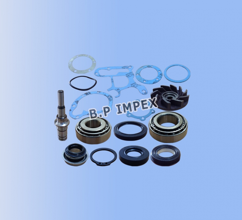 REPAIR KIT WATER PUMP MAJOR,252520100119