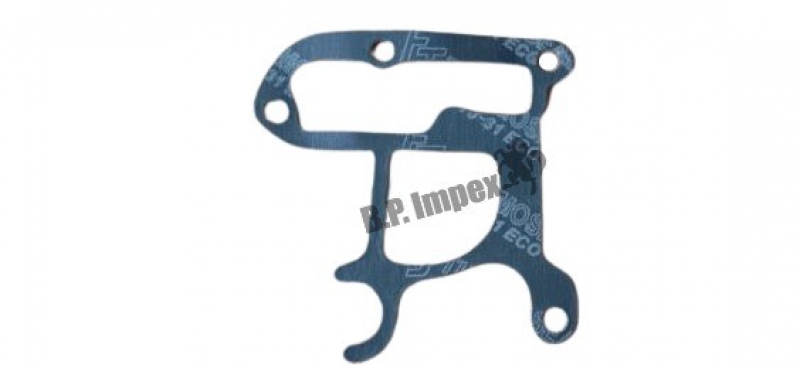 GASKET WATER PUMP,252720105301