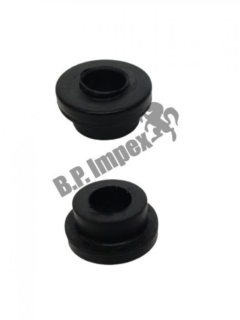 RUBBER BUSH,257632017501