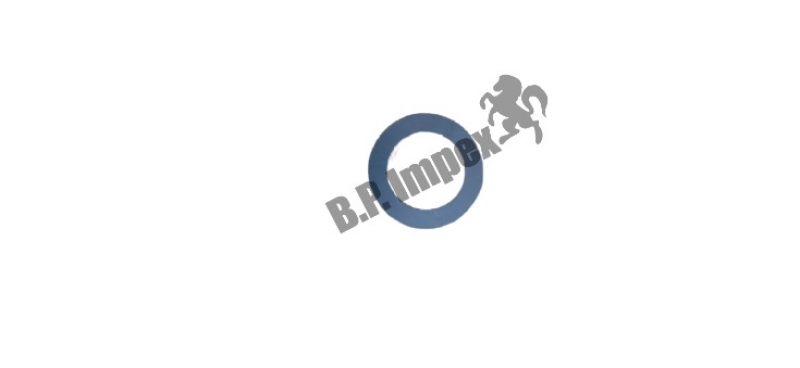 ADJUSTING RING,264033208302