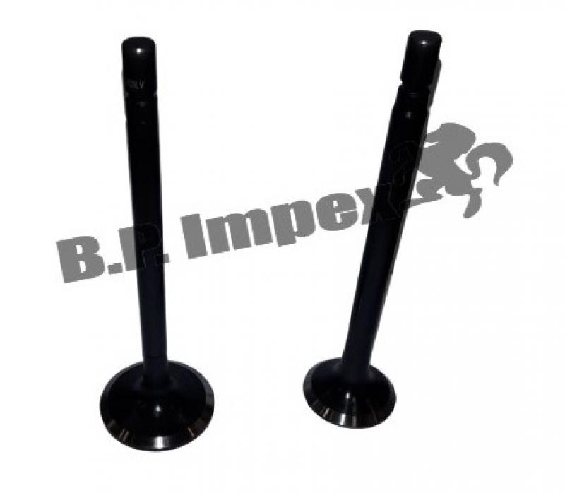 INLET & EXHAUST VALVE STD (SET OF 12PCS) (BLACK) 30 TO 45,252505120102