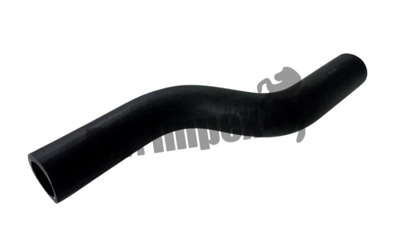 Hose (Thermostat to Water Pump Lower) Euro II,252520125817