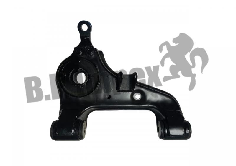 LOWER ARM ASSY LHS,265432130165