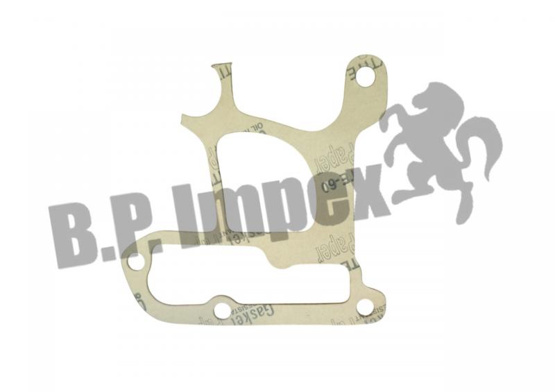 GASKET WATER PUMP,252720105301