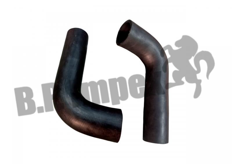 Hose (Radiator to Water Pump Upper) Euro II,252550105858