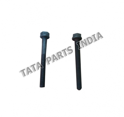 Bolt, Cylinder Head,252501159912