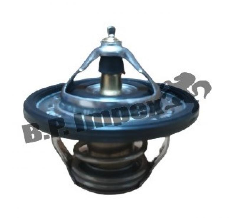 THERMOSTAT ASSY