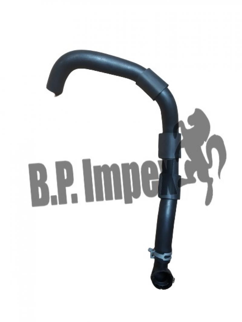 HOSE-RADIATOR LOWER