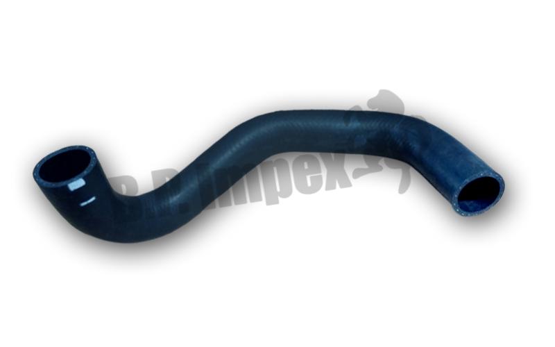 HOSE-RADIATOR LOWER