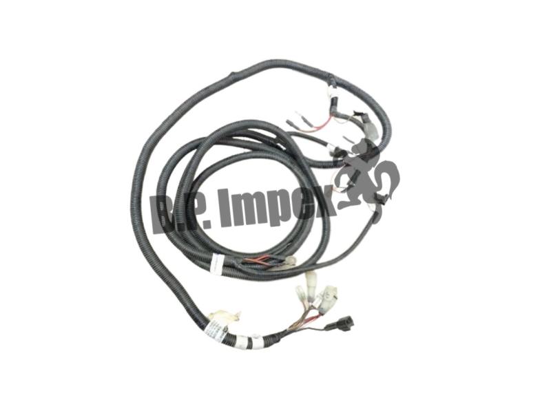 ENGINE WIRING HARNESS,F9107000