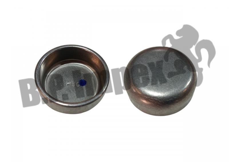 EXPANSION PLUG-DIA 3.0CM-CYL.HEAD-H4/H6
