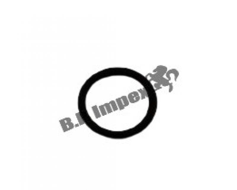 O RING INJECTOR SEALING