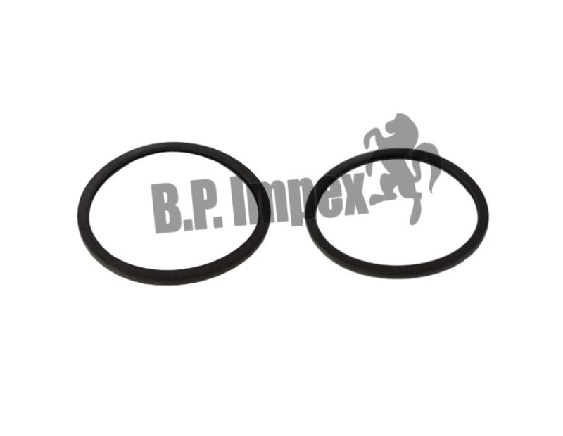 Thermostat Seal