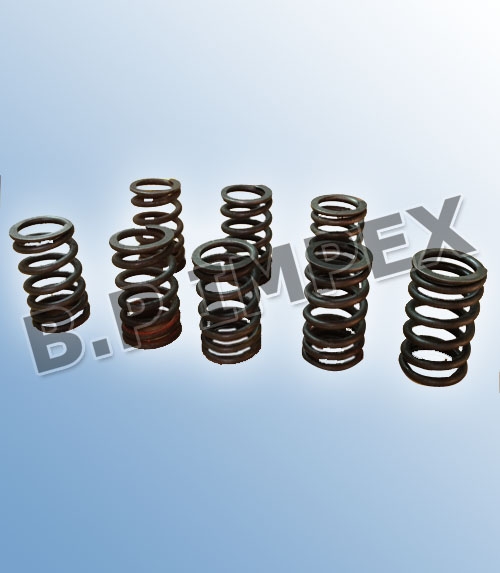 Valve Spring