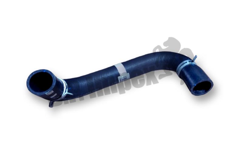 HOSE ASSY-RADAATOR,LWR