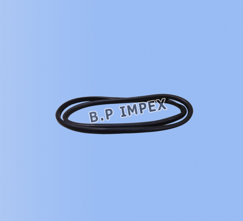 Weatherstrip Windshield