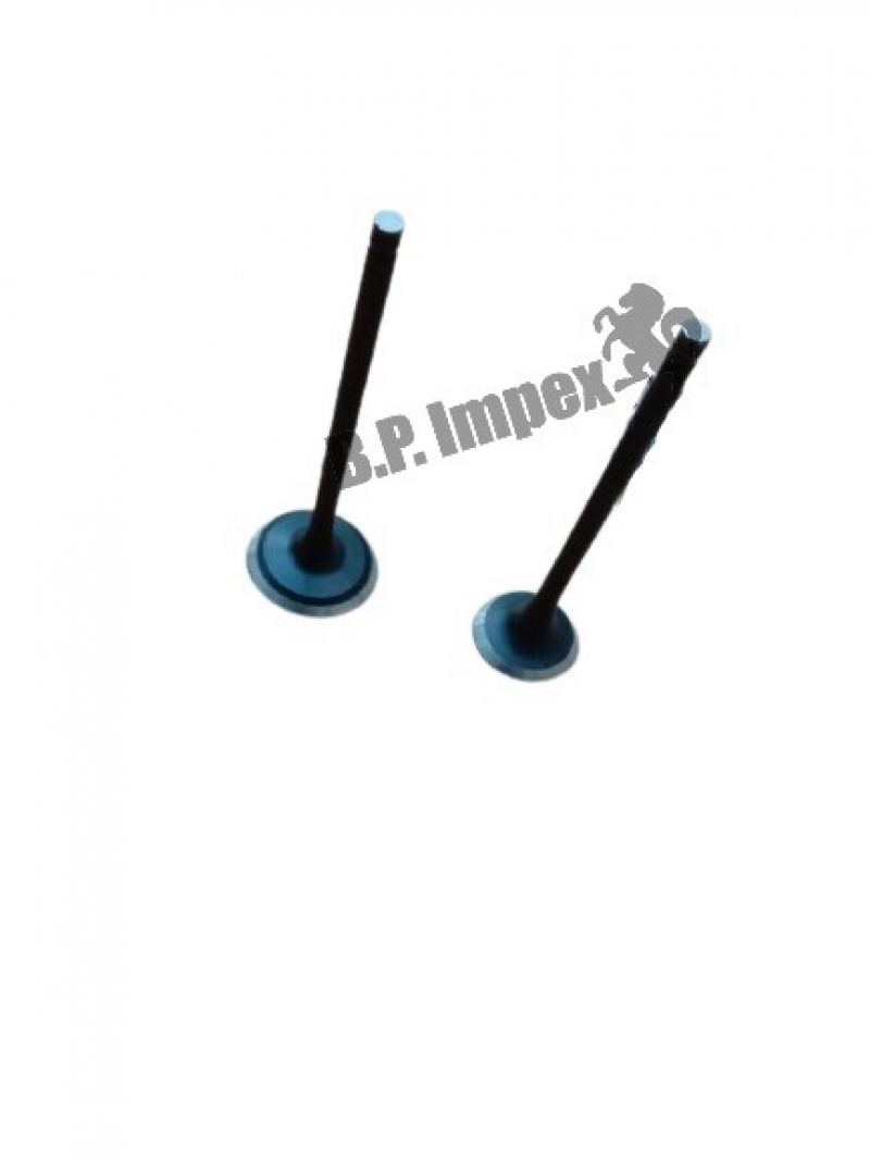 VALVE EXHAUST