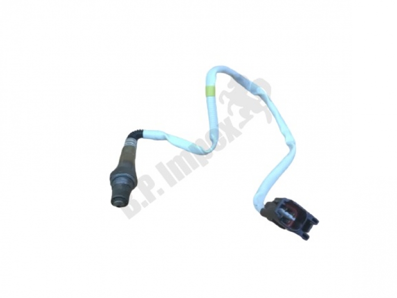Sensor Oxygen