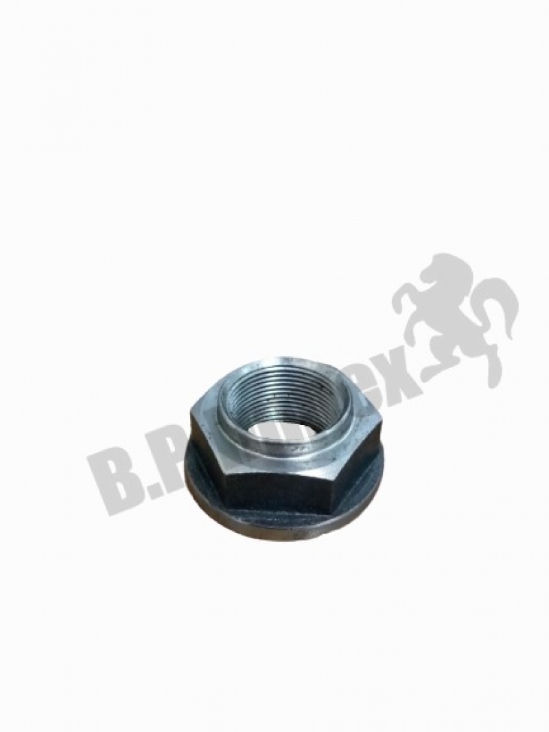 HEX NUT,424110072J