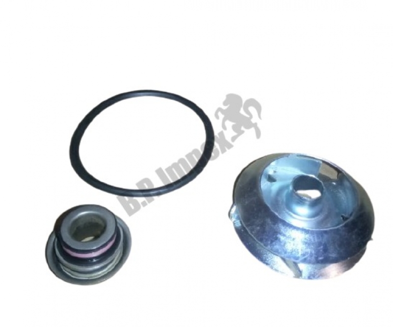 WATER PUMP REPAIR KIT