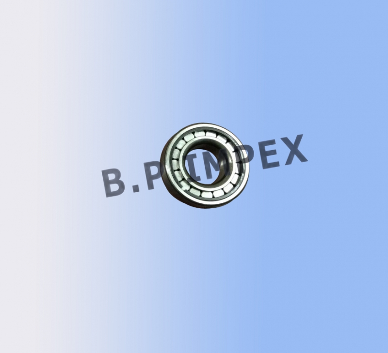Bearing - Differential,272535303107