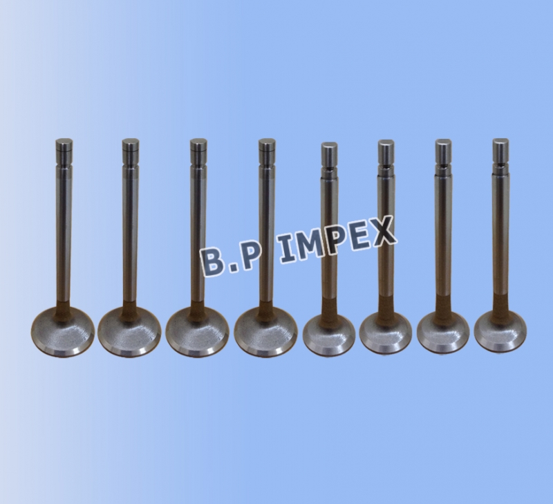 Inlet & Exhaust Valve Set,252505129018