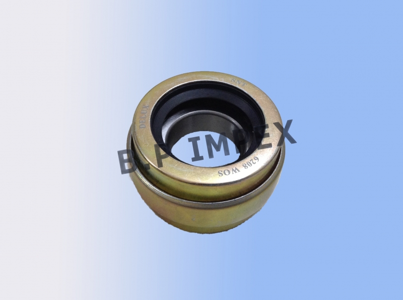 Center Bearing,257341300118