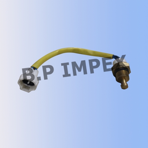 Sensor Temperature on Radiator,279150100115