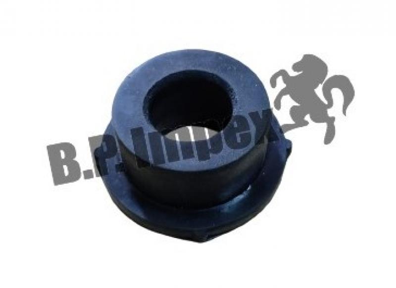 RUBBER BUSH