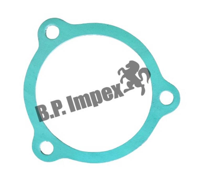 GASKET (0.3 THK)