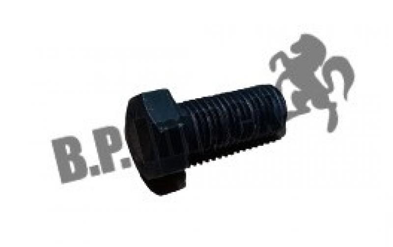 FLY WHEEL SCREW (M12x1.5x27) 